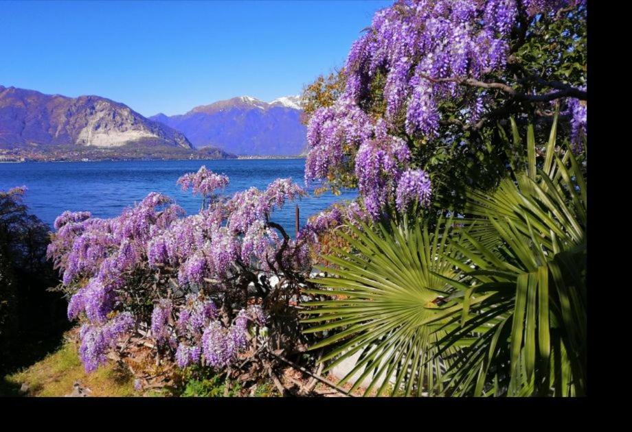 La Corte Di Suna Verbania Buitenkant foto